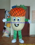 Customized plant mascot costume