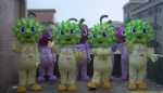 Durian character mascot costume