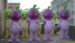 Mangosteen character mascot costume