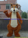 Animal costume, mascot costume