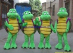 Turtle animal costume, turtle animal mascot