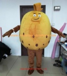 Fruit character mascot costume