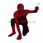 Spiderman character disney mascot costume