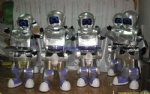 Customized robots mascot costume