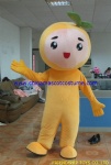 Vegetable plush mascot costume